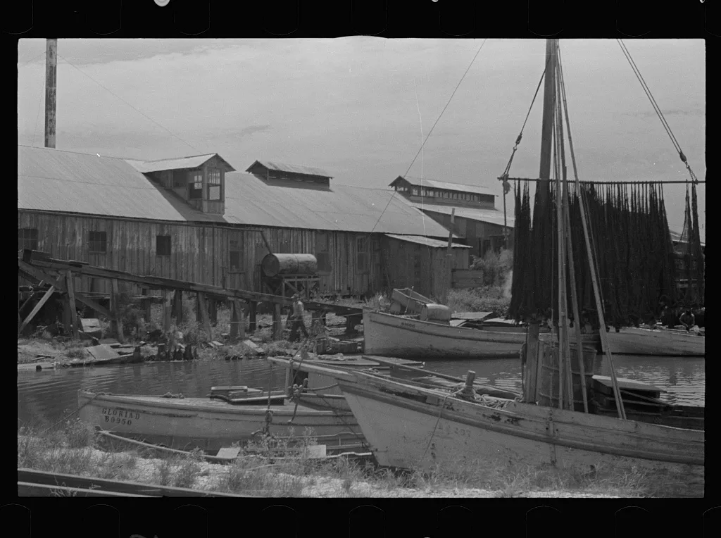 [Untitled photo, possibly related to: Fishing boats that have helped…, Louisiana, 1935