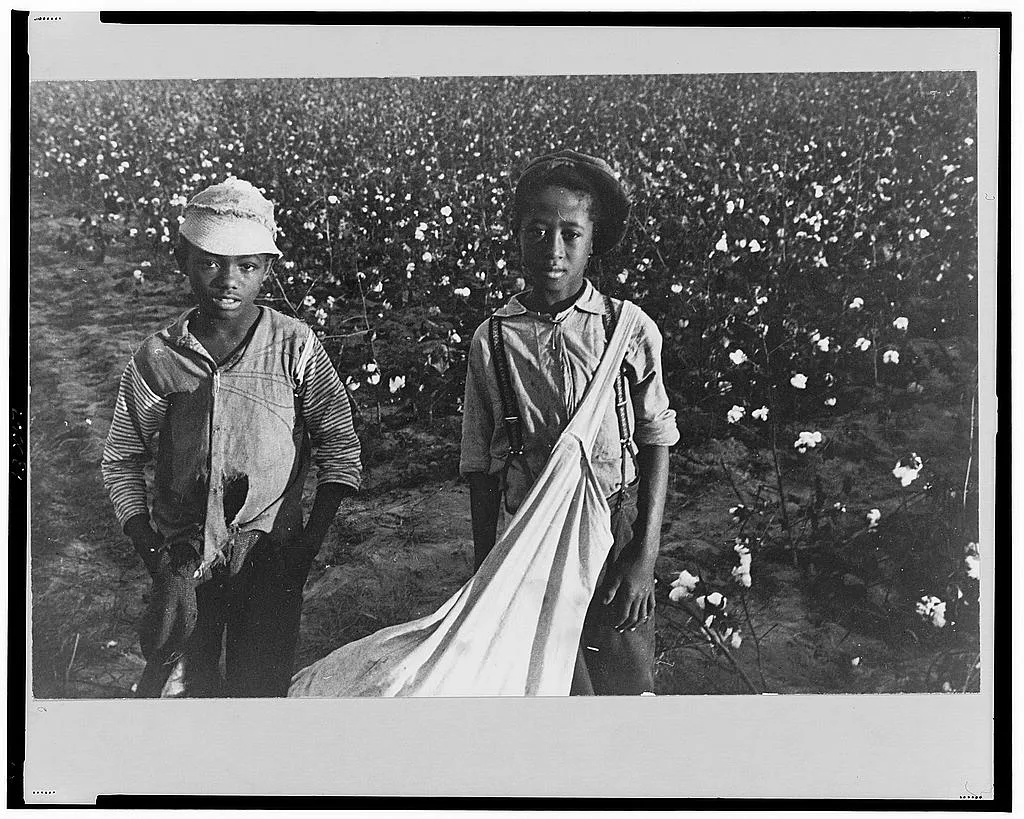 Cotton pickers, Pulaski County, Arkansas, 1935