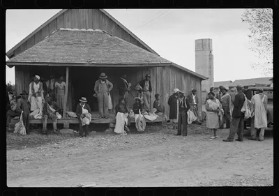 Cotton pickers, Arkansas, 1935