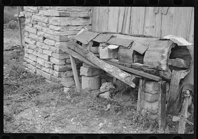 Primitive chicken roost, carved out of hollow log, on farm of…, Arkansas, 1935