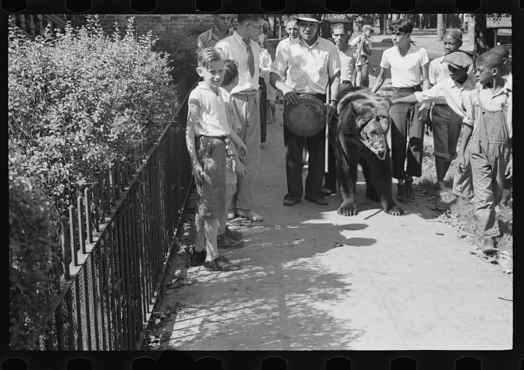 [Untitled photo, possibly related to: Street scene, New Orleans,…, Louisiana, 1935