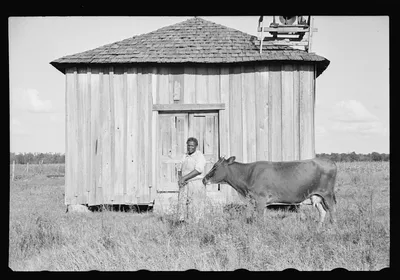 Sharecropper, Pulaski County, Arkansas, "Mother Lane", 1935