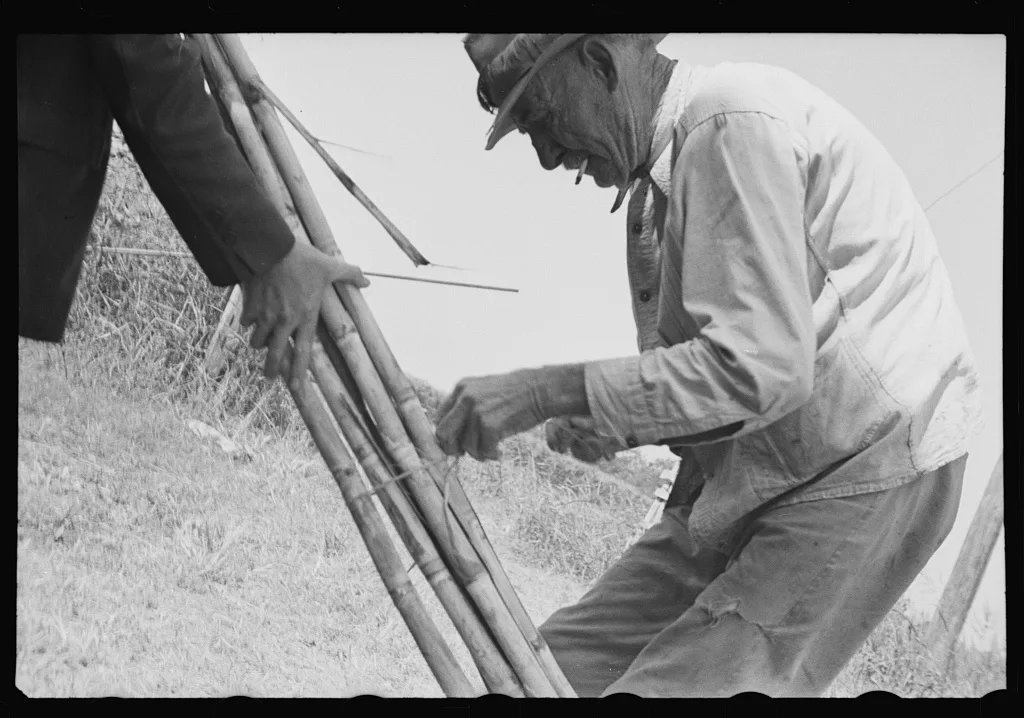 Sugarcane grower, Plaquemines Parish, Louisiana, 1935