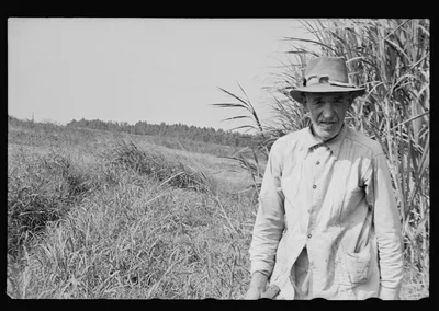 [Untitled photo, possibly related to: Sugarcane worker, Plaquemines…, Louisiana, 1935