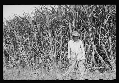 Sugarcane worker, Plaquemines Parish, Louisiana, 1935