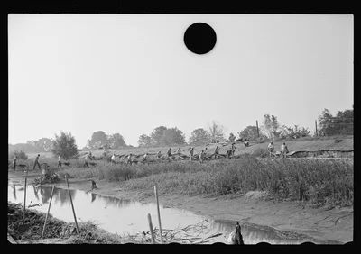 [Untitled photo, possibly related to: Levee workers, Plaquemines…, Louisiana, 1935