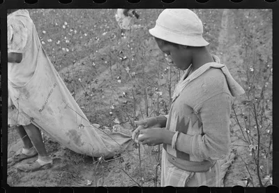 Young cotton picker, Pulaski County, Arkansas. Schools for colored…, 1935