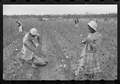 [Untitled photo, possibly related to: Cotton pickers, Pulaski County,…, Arkansas, 1935