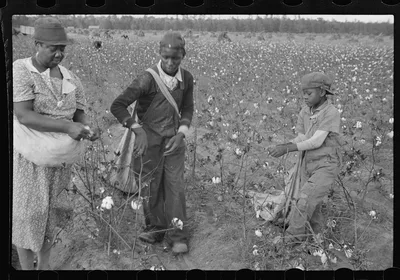 [Untitled photo, possibly related to: Cotton pickers, Pulaski County,…, Arkansas, 1935