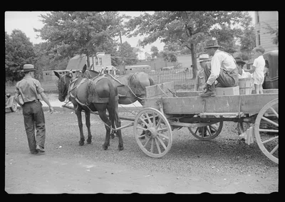 [Untitled photo, possibly related to: Horse and wagon, Crossville,…, Tennessee, 1937