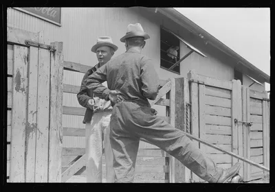 Farmers at Pickaway Livestock Cooperative Association, central Ohio, 1938