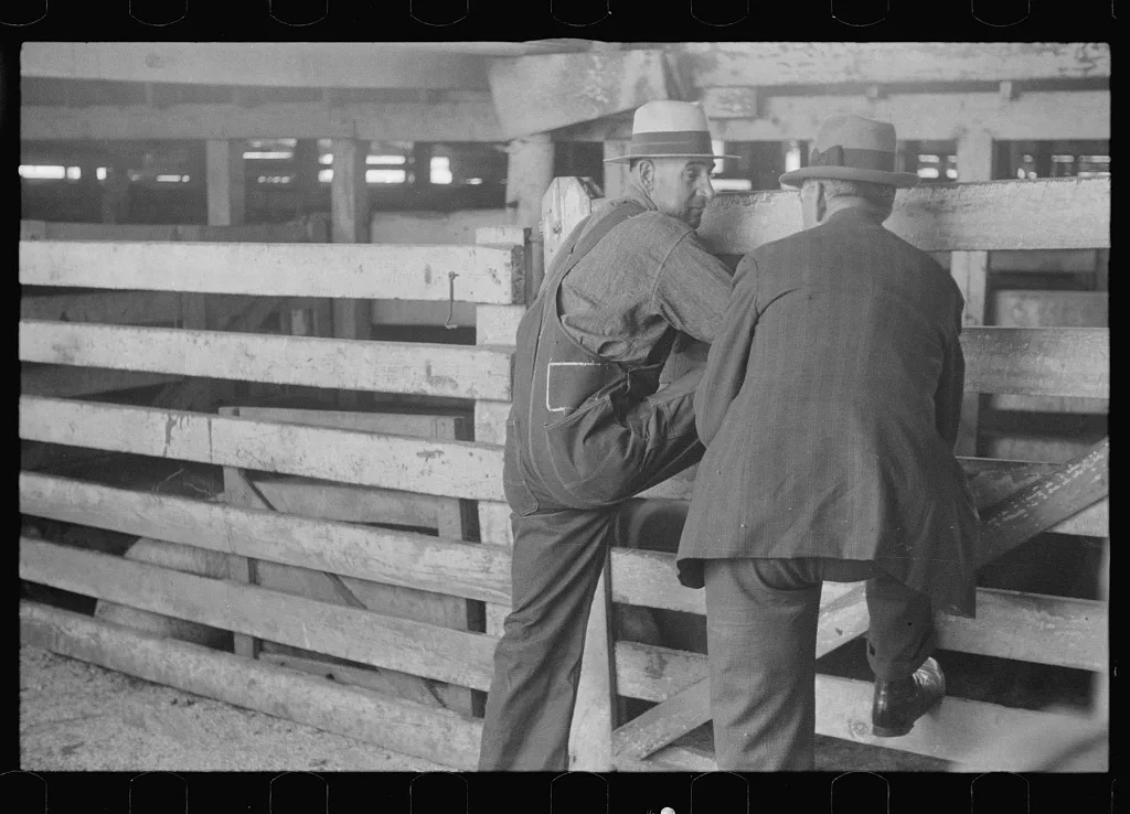 [Untitled photo, possibly related to: Pens at the Pickaway Livestock…, Ohio, 1938