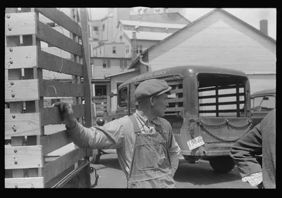 At the Pickaway Livestock Cooperative Association, central Ohio, 1938