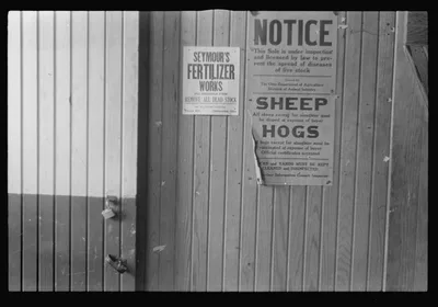 Posters on wall of auction room, Pickaway Livestock Cooperative…, Ohio, 1938