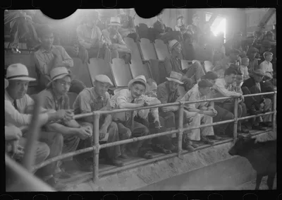 [Untitled photo, possibly related to: Men at auction room, Pickaway…, Ohio, 1938