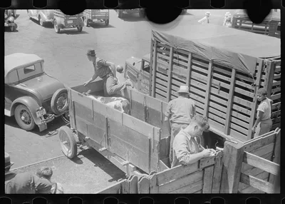 Unloading Platform Pickaway Livestock Cooperative Association,…, Ohio, 1938