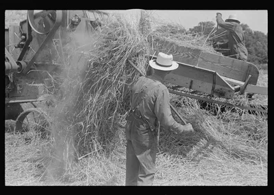 [Untitled photo, possibly related to: Wheat harvest in the field,…, Ohio, 1938