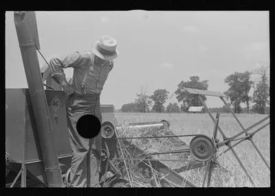 [Untitled photo, possibly related to: Member of threshing crew,…, Ohio, 1938