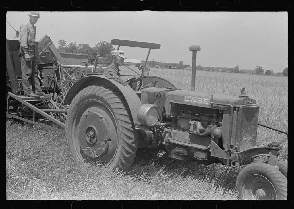 Combing wheat, central Ohio, 1938