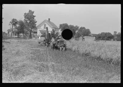 [Untitled photo, possibly related to: Combing wheat, central Ohio], 1938