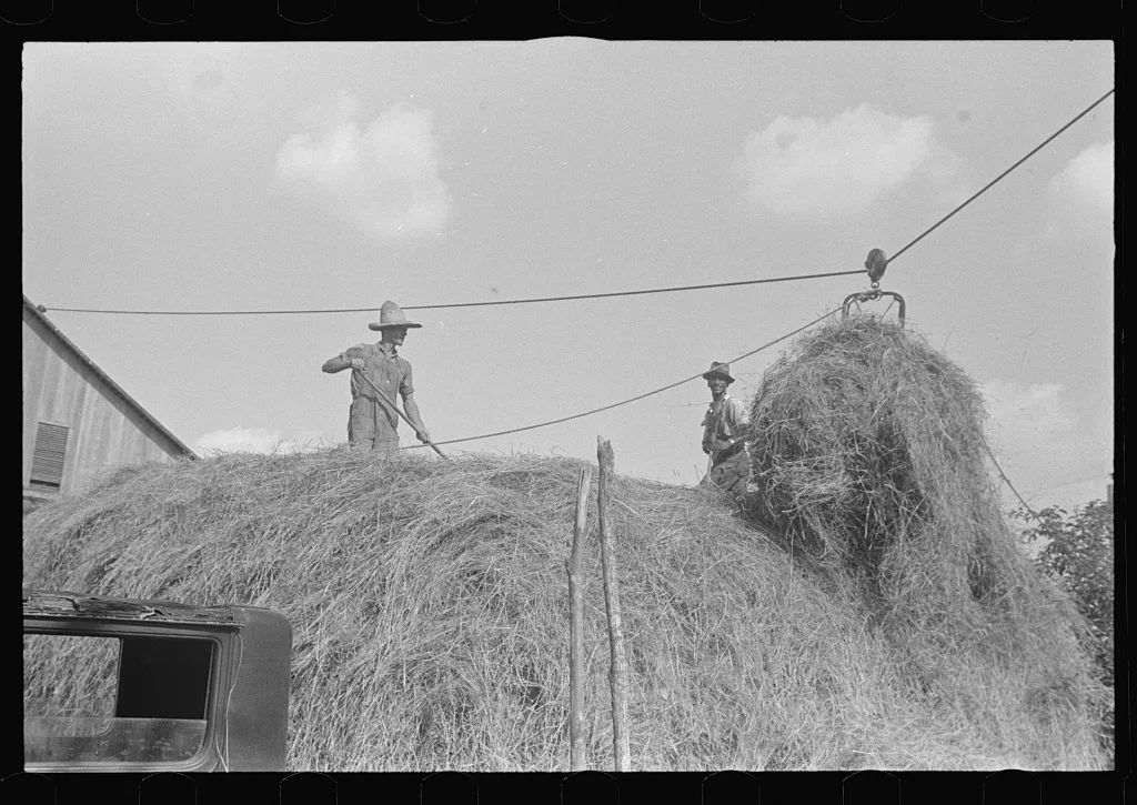Stacking hay with cable rig and fork, central Ohio, 1938