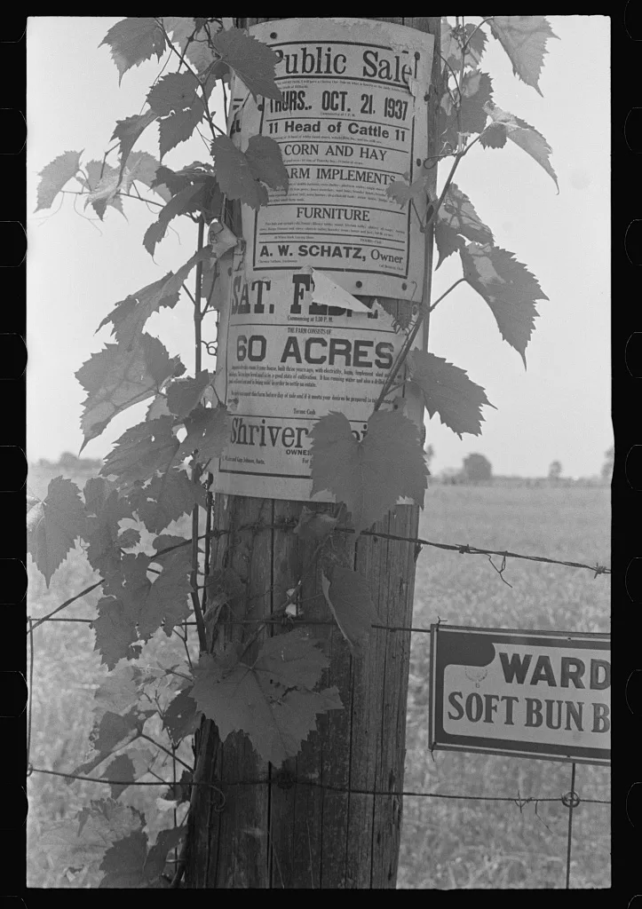 Roadside advertising along Route 40, central Ohio (see general…, 1938