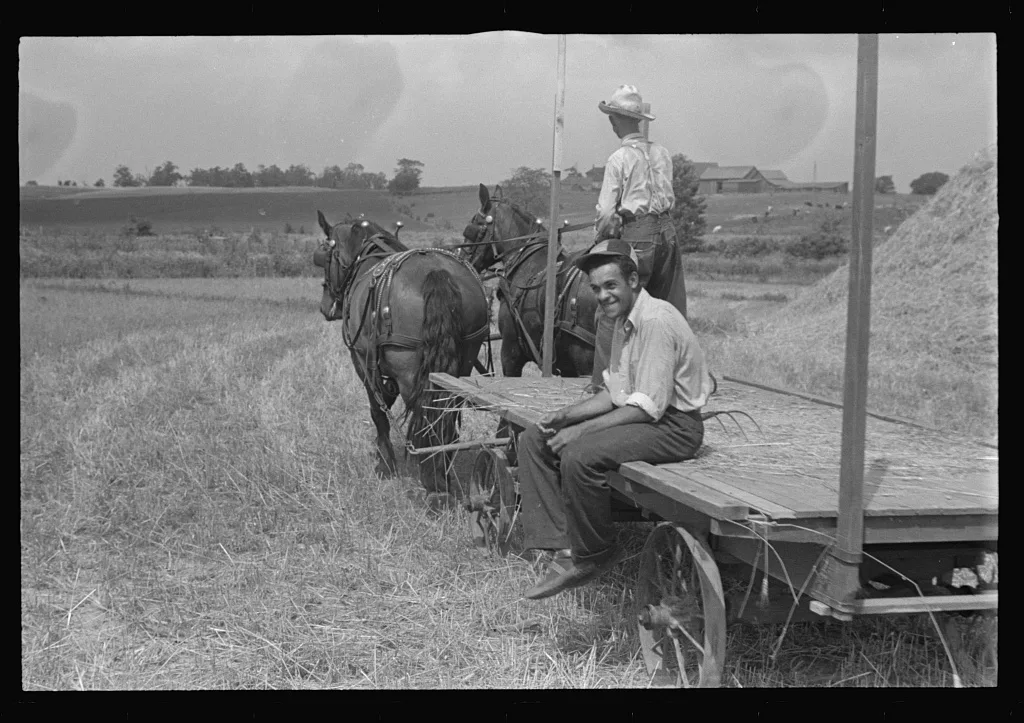 [Untitled photo, possibly related to: Threshing wheat in central Ohio], 1938