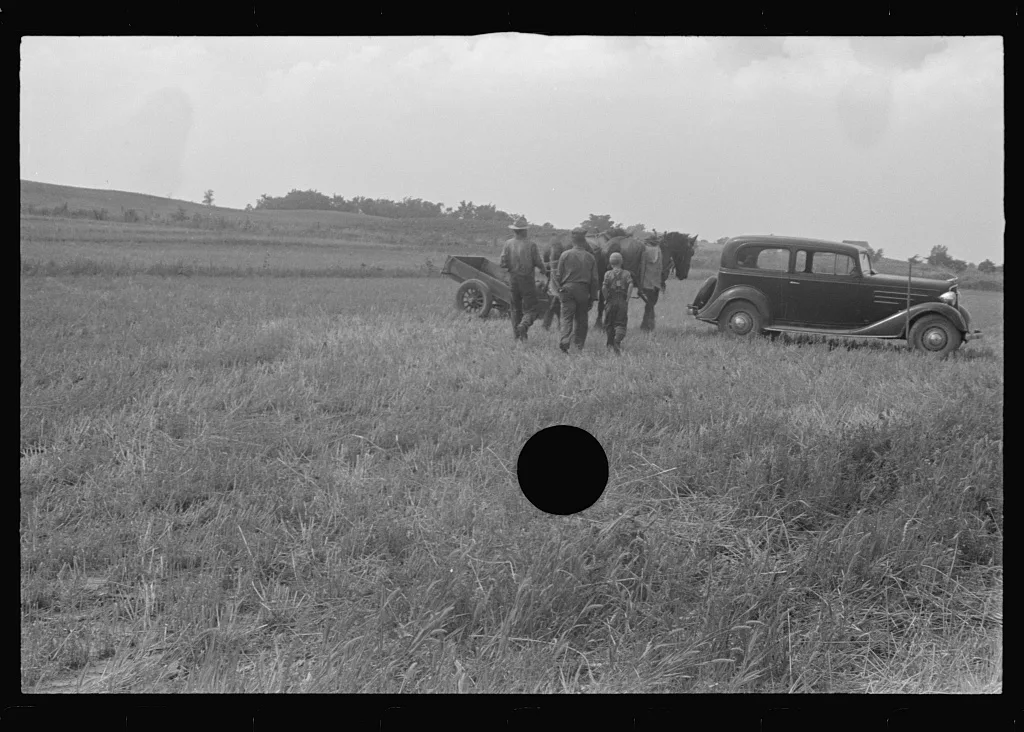 [Untitled photo, possibly related to: Threshing scene, central Ohio], 1938