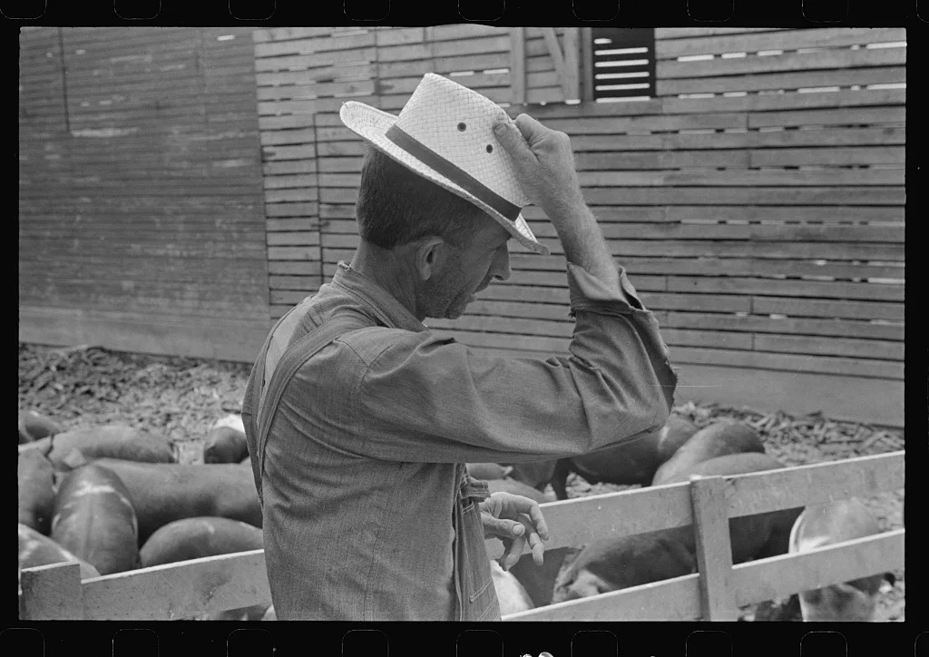 [Untitled photo, possibly related to: Mr. Thaxton, farmer, near…, Ohio, 1938