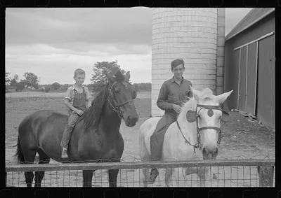 Sons of Mr. Thaxton, farmer, on horseback in farmyard, near…, Ohio, 1938