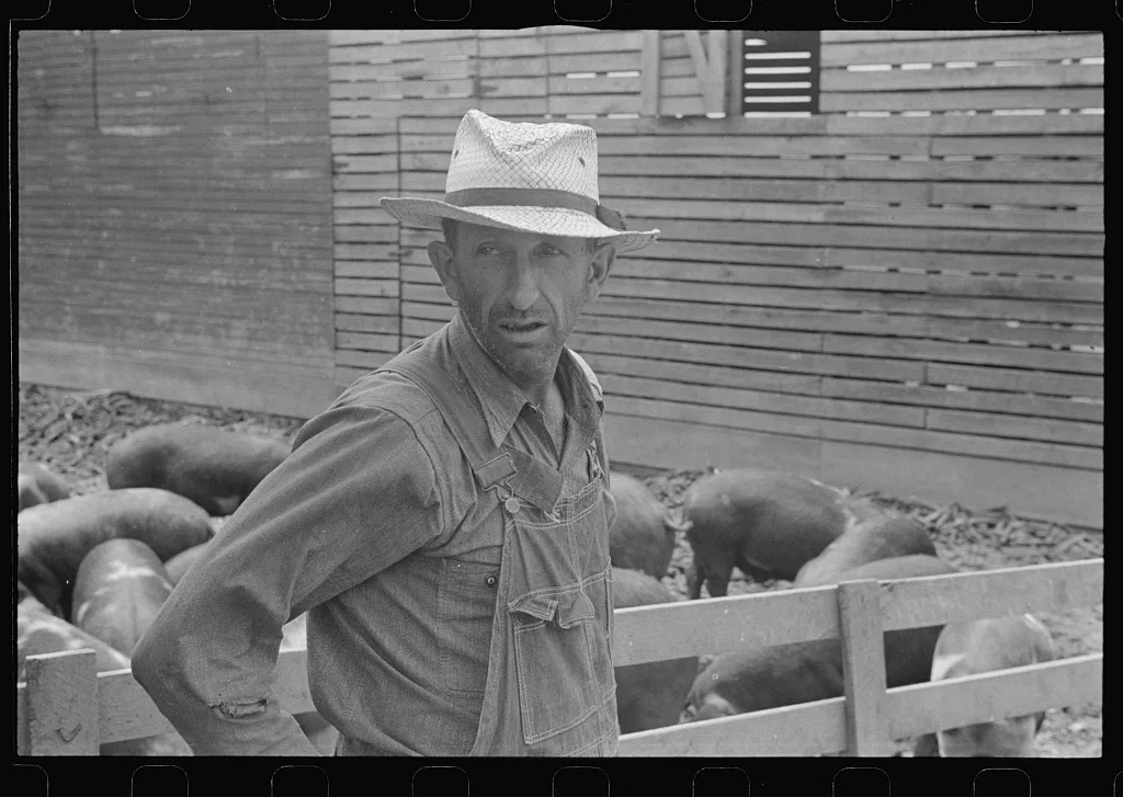 Mr. Virgil Thaxton, farmer, near Mechanicsburg, Ohio, 1938