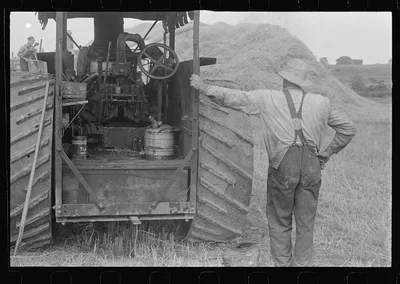[Untitled photo, possibly related to: Threshing wheat in central Ohio], 1938