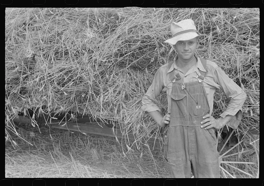 [Untitled photo, possibly related to: Threshing wheat in central Ohio], 1938