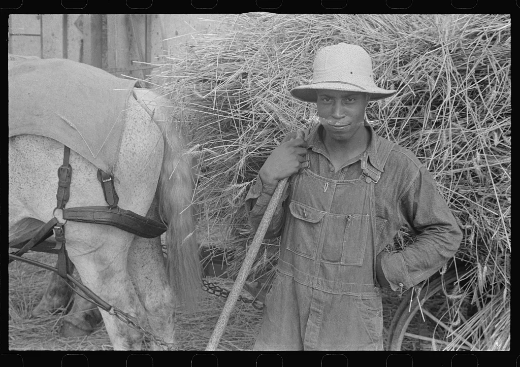 [Untitled photo, possibly related to: Threshing wheat in central Ohio], 1938