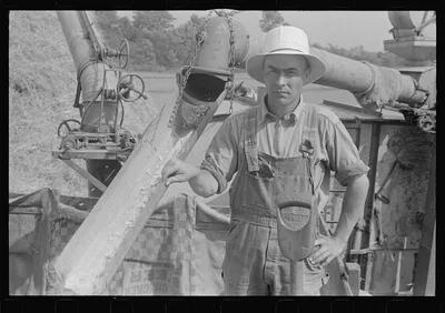 [Untitled photo, possibly related to: Harvest hand and helper on the…, Ohio, 1938