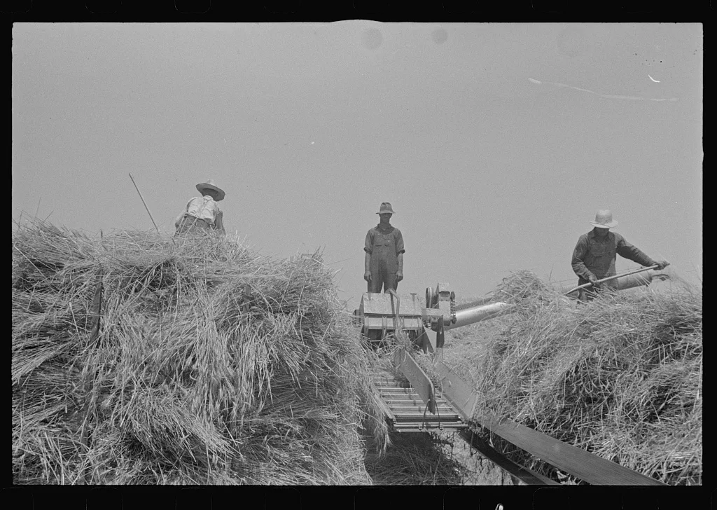[Untitled photo, possibly related to: Wheat harvest in the field;…, Ohio, 1938