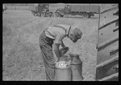 [Untitled photo, possibly related to: Wheat harvest in the field;…, Ohio, 1938