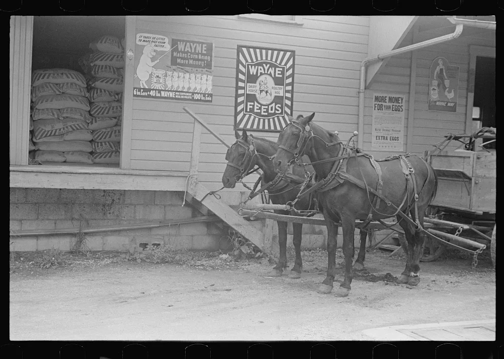 Wagon outside of feed store, Plain City, Ohio, 1938