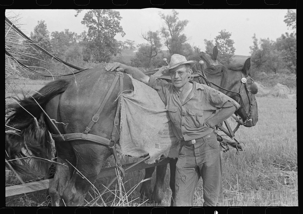 Harvest hand and helper on the Virgil Thaxton farm near…, Ohio, 1938