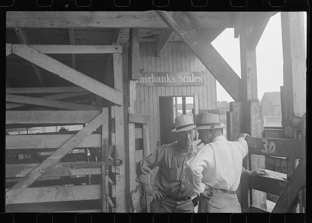 Pens at auction. Pickaway Livestock Cooperative Association, central…, Ohio, 1938