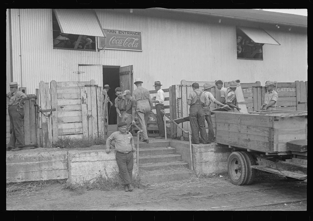Unloading platform. Pickaway Livestock Cooperative Association,…, Ohio, 1938