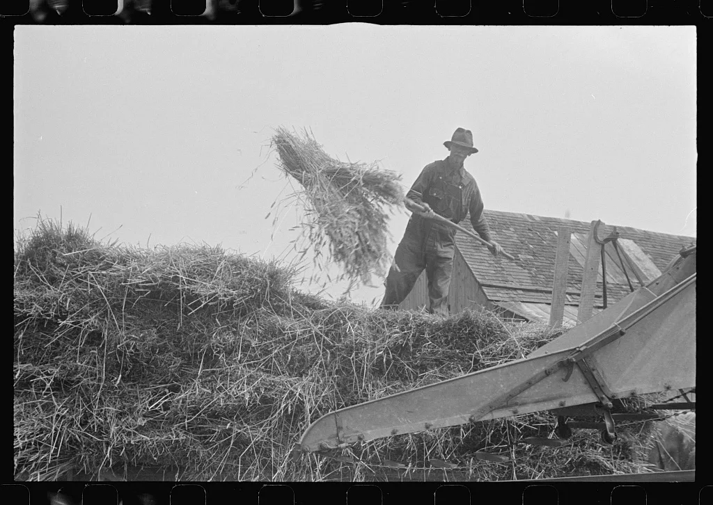 [Untitled photo, possibly related to: Adjusting straw stocker on…, Ohio, 1938
