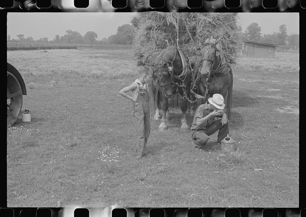[Untitled photo, possibly related to: Adjusting straw stocker on…, Ohio, 1938