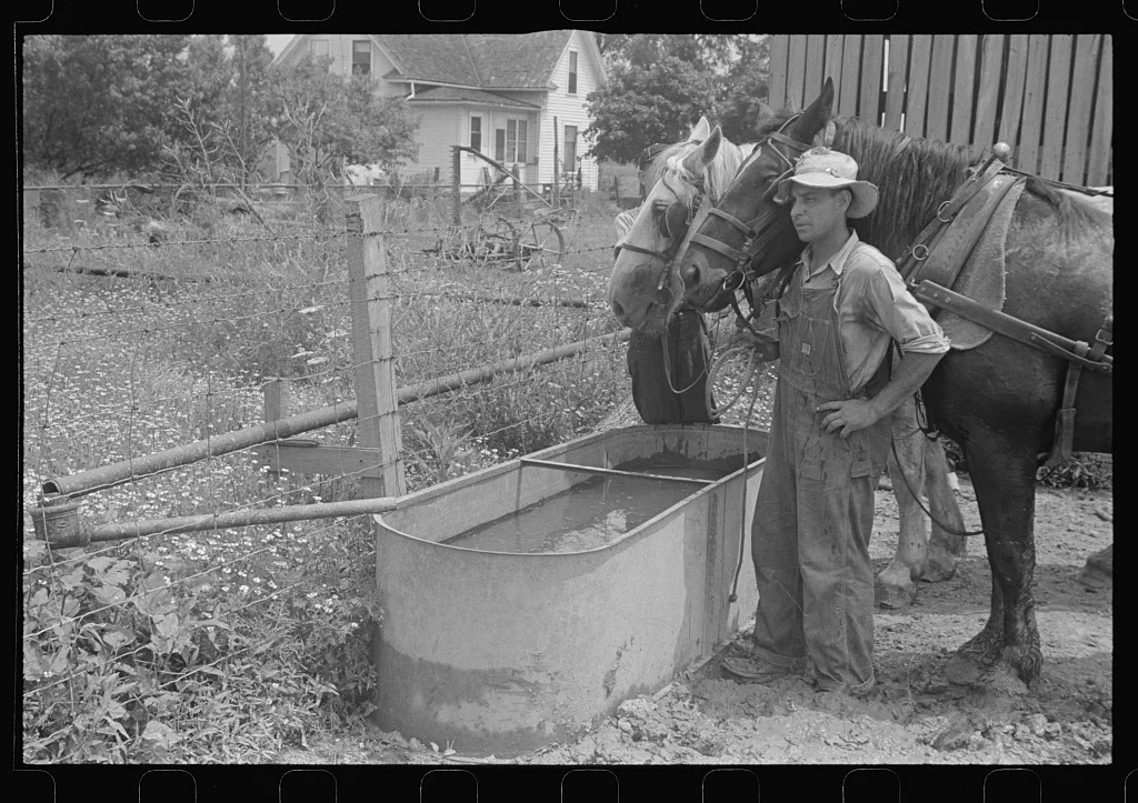 Farmyard scene during wheat harvest, central Ohio, 1938