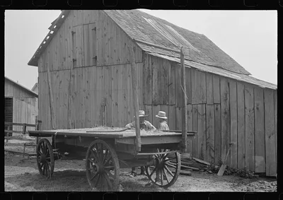 [Untitled photo, possibly related to: Horses on farm during wheat…, Ohio, 1938