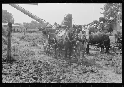 [Untitled photo, possibly related to: Adjusting straw stacker or…, Ohio, 1938