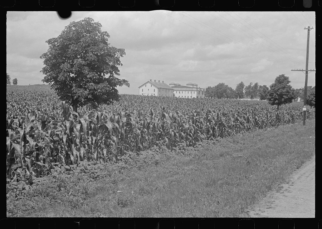 Fields and farm building at Hartman Farms, near Columbus, Ohio, 1938