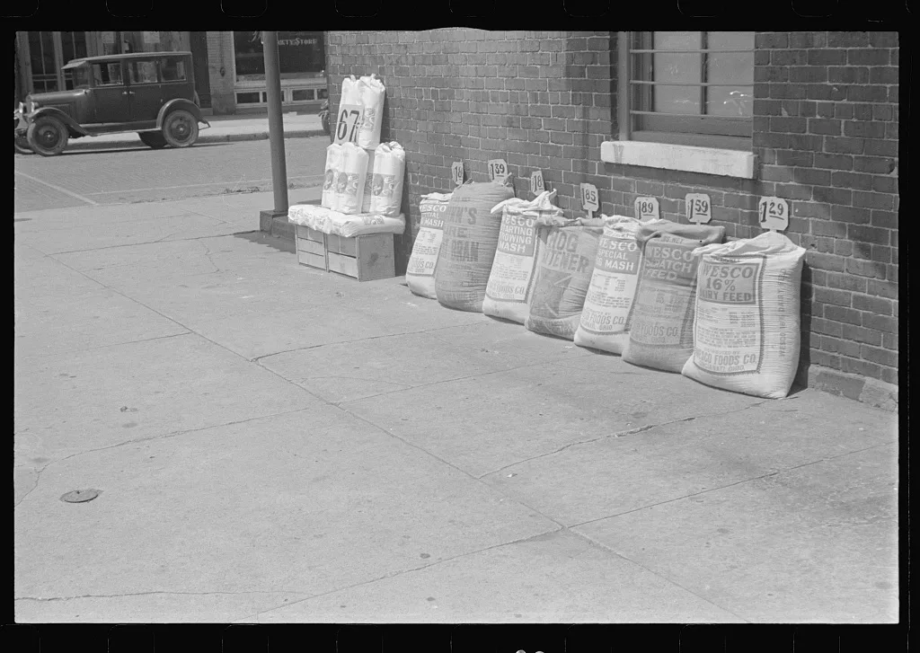 [Untitled photo, possibly related to: Stock feed in front of feed…, Ohio, 1938
