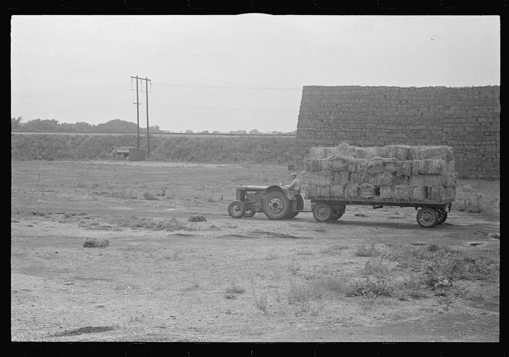 [Untitled photo, possibly related to: Baled straw to be used for…, Ohio, 1938