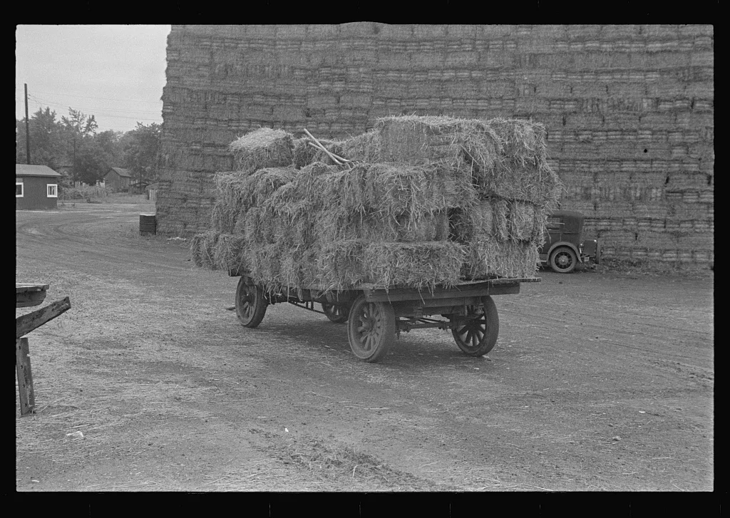 Baled straw to be used for making strawboard at Container Corporation…, Ohio, 1938